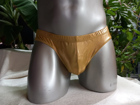 Slip Hipster full Butt Badehose Herren metallic Lycra Dessous Unterwäsche Lingerie  Gay Spielzeug adult